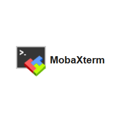 MobaXterm Professional Edition 1 user (11-50)