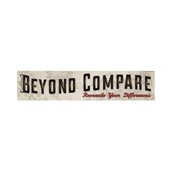 Beyond Compare 5 Standard Edition, per user (1-4)